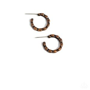 Small bronze earrings